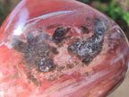Polished Large Red Podocarpus Petrified Wood Hearts x 2 From Mahajanga, Madagascar - Toprock Gemstones and Minerals 