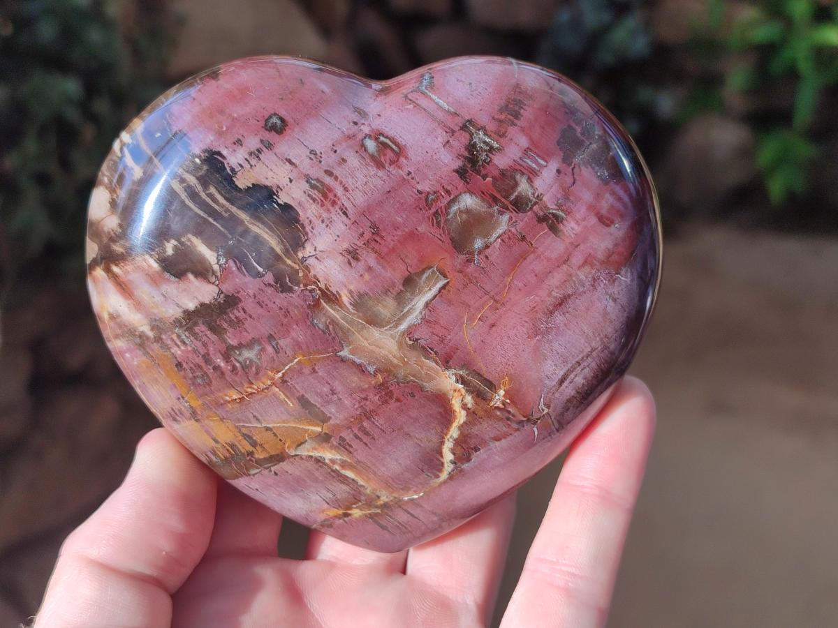 Polished Large Red Podocarpus Petrified Wood Hearts x 2 From Mahajanga, Madagascar - Toprock Gemstones and Minerals 