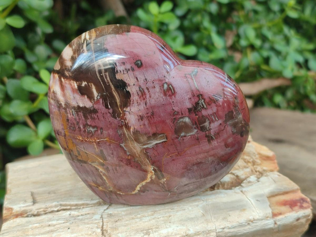 Polished Large Red Podocarpus Petrified Wood Hearts x 2 From Mahajanga, Madagascar - Toprock Gemstones and Minerals 