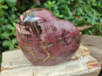 Polished Large Red Podocarpus Petrified Wood Hearts x 2 From Mahajanga, Madagascar - Toprock Gemstones and Minerals 