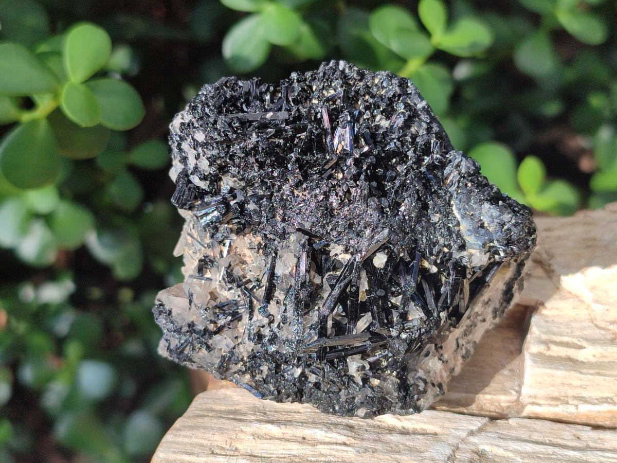 Natural Schorl Black Tourmaline Crystals and Clusters x 6 From Erongo, Namibia - Toprock Gemstones and Minerals 