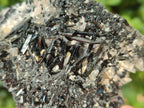 Natural Schorl Black Tourmaline Crystals and Clusters x 6 From Erongo, Namibia - Toprock Gemstones and Minerals 