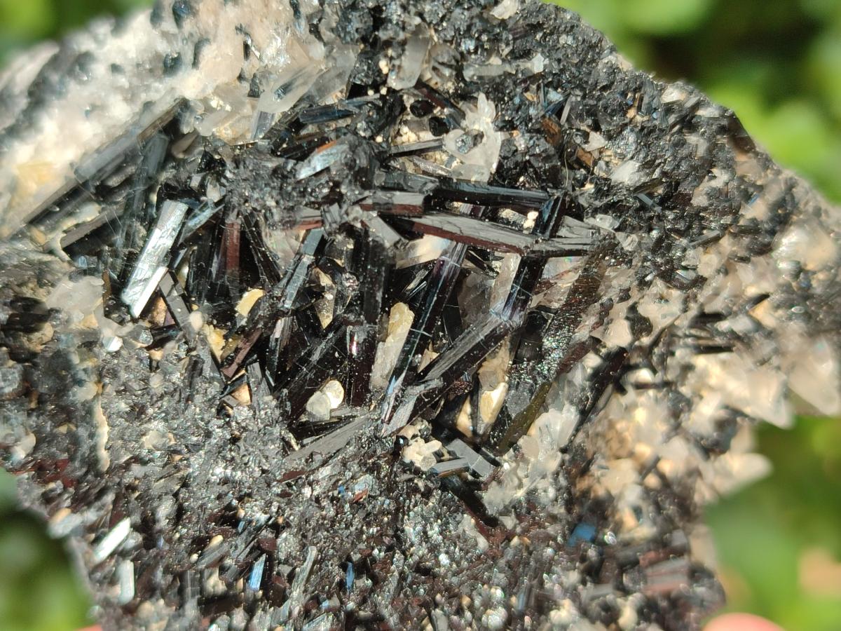 Natural Schorl Black Tourmaline Crystals and Clusters x 6 From Erongo, Namibia - Toprock Gemstones and Minerals 