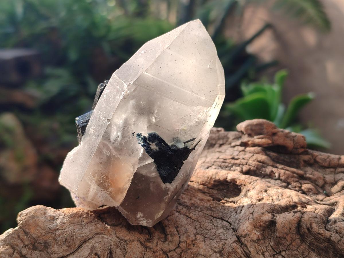 Natural Schorl Black Tourmaline Crystals and Clusters x 6 From Erongo, Namibia - Toprock Gemstones and Minerals 