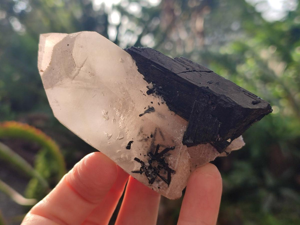 Natural Schorl Black Tourmaline Crystals and Clusters x 6 From Erongo, Namibia - Toprock Gemstones and Minerals 