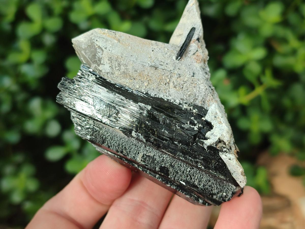 Natural Schorl Black Tourmaline Crystals and Clusters x 6 From Erongo, Namibia - Toprock Gemstones and Minerals 