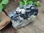 Natural Schorl Black Tourmaline Crystals and Clusters x 6 From Erongo, Namibia - Toprock Gemstones and Minerals 