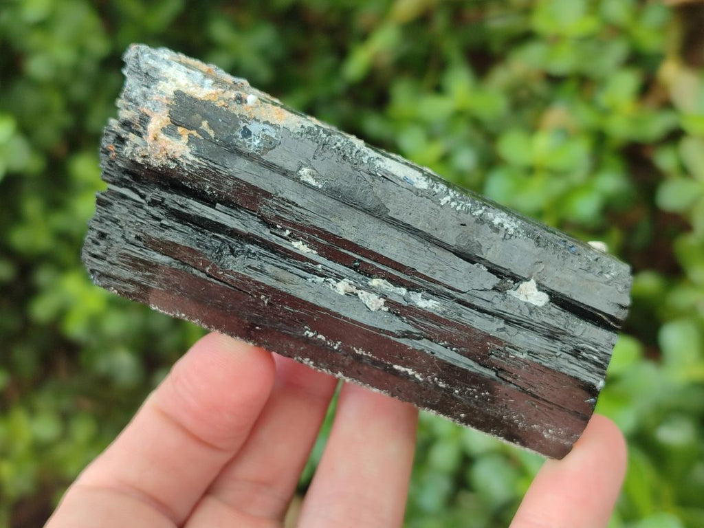 Natural Schorl Black Tourmaline Crystals and Clusters x 6 From Erongo, Namibia - Toprock Gemstones and Minerals 