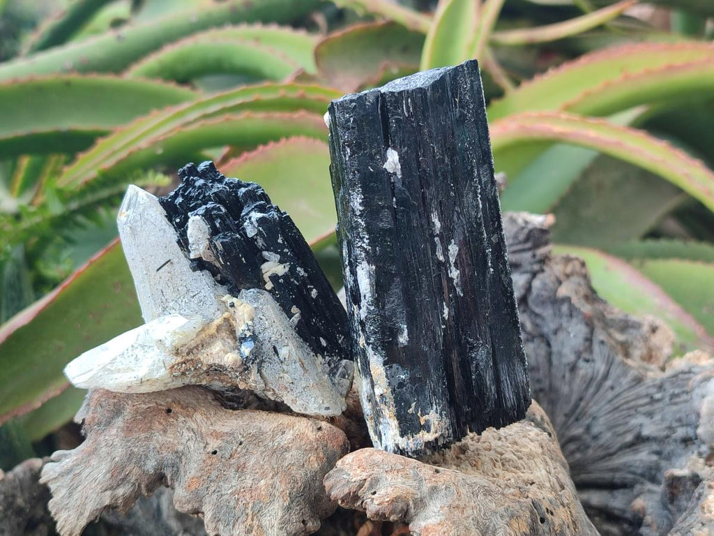 Natural Schorl Black Tourmaline Crystals and Clusters x 6 From Erongo, Namibia - Toprock Gemstones and Minerals 