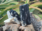 Natural Schorl Black Tourmaline Crystals and Clusters x 6 From Erongo, Namibia - Toprock Gemstones and Minerals 