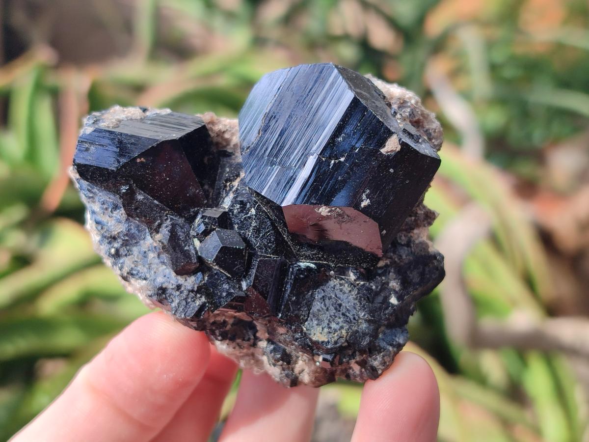 Natural Schorl Black Tourmaline Specimens x 12 From Erongo, Namibia - Toprock Gemstones and Minerals 