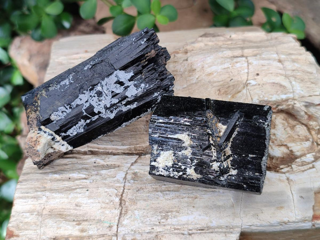 Natural Schorl Black Tourmaline Specimens x 12 From Erongo, Namibia - Toprock Gemstones and Minerals 
