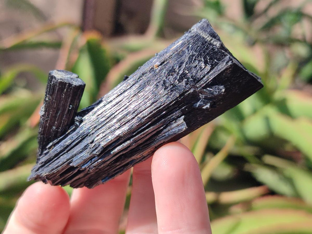Natural Schorl Black Tourmaline Specimens x 12 From Erongo, Namibia - Toprock Gemstones and Minerals 