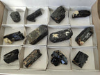 Natural Schorl Black Tourmaline Specimens x 12 From Erongo, Namibia - Toprock Gemstones and Minerals 