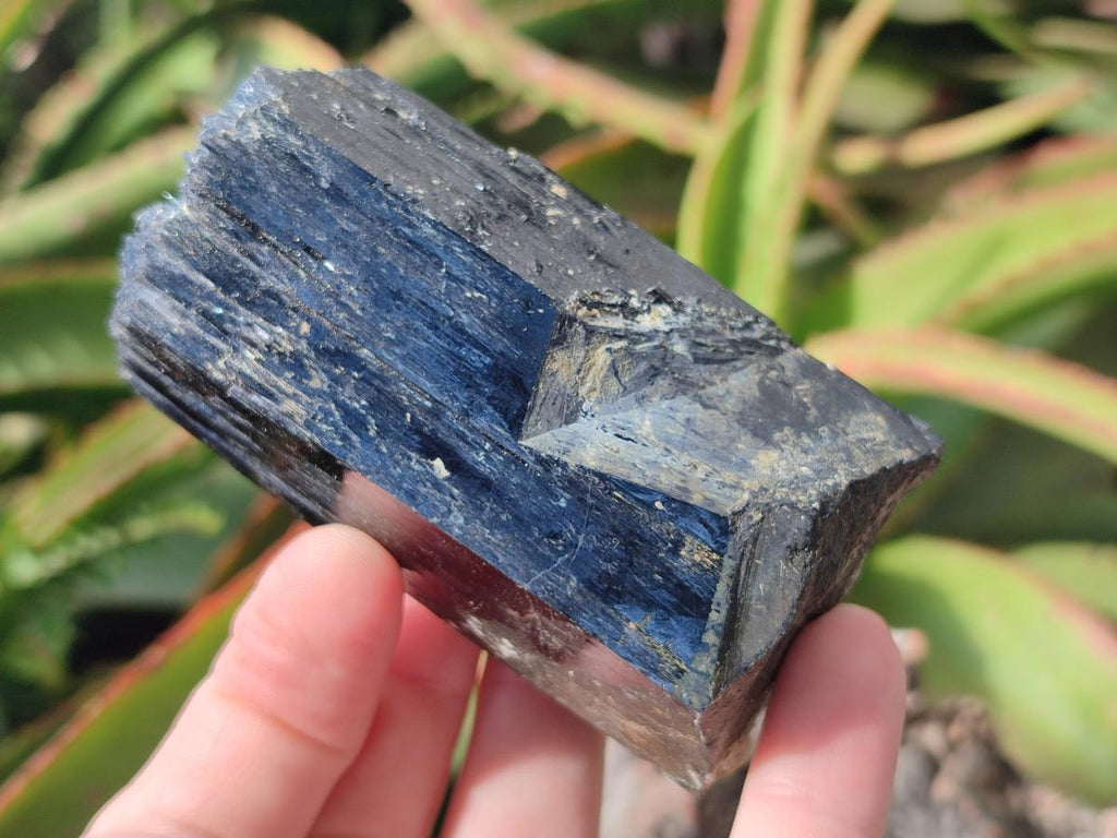 Natural Schorl Black Tourmaline Specimens x 12 From Erongo, Namibia - Toprock Gemstones and Minerals 
