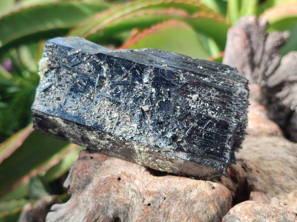 Natural Schorl Black Tourmaline Specimens x 12 From Erongo, Namibia - Toprock Gemstones and Minerals 