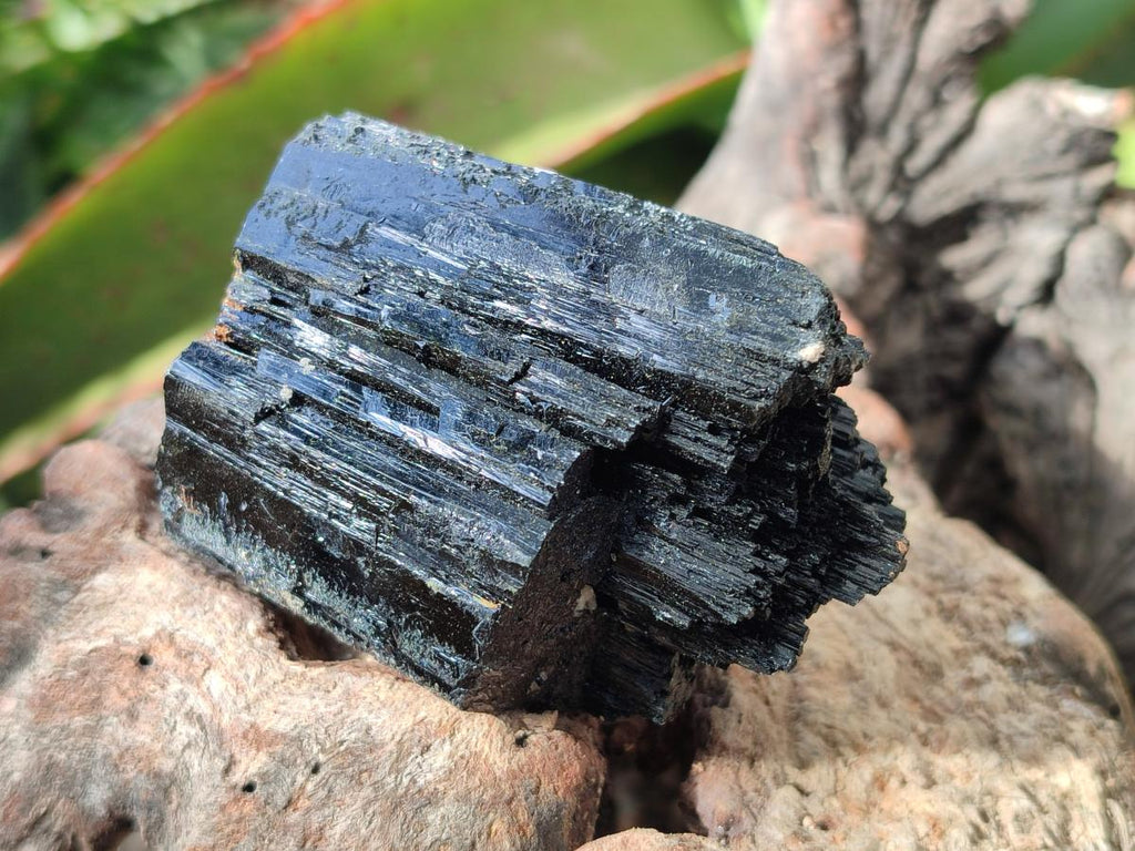 Natural Schorl Black Tourmaline Specimens x 12 From Erongo, Namibia - Toprock Gemstones and Minerals 