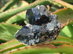 Natural Schorl Black Tourmaline Specimens x 12 From Erongo, Namibia - Toprock Gemstones and Minerals 