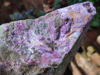 Natural Stichtite Cobbed Specimens x 6 From Barberton, South Africa - Toprock Gemstones and Minerals 