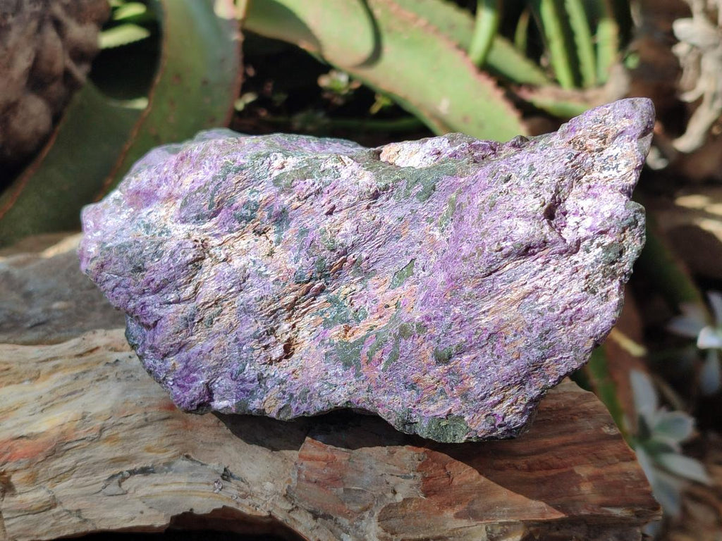 Natural Stichtite Cobbed Specimens x 6 From Barberton, South Africa - Toprock Gemstones and Minerals 