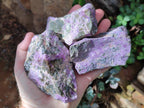 Natural Stichtite Cobbed Specimens x 6 From Barberton, South Africa - Toprock Gemstones and Minerals 