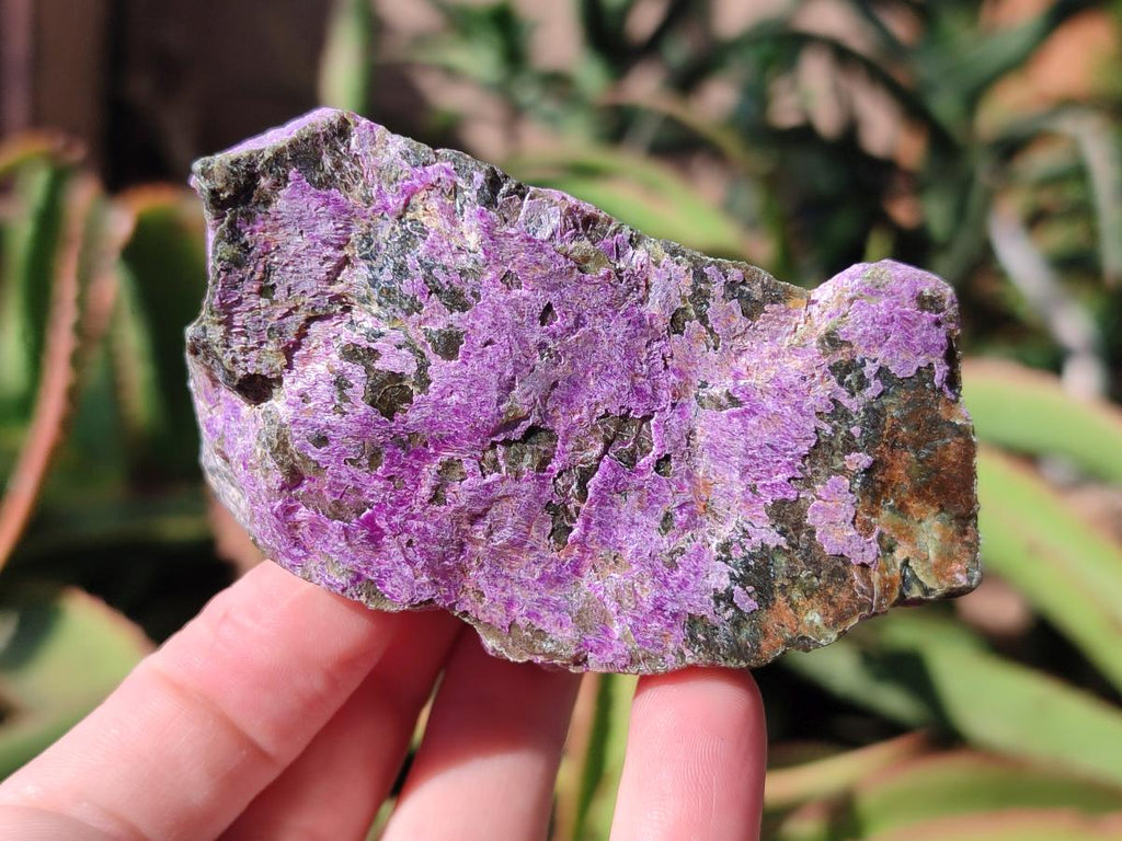 Natural Stichtite Cobbed Specimens x 6 From Barberton, South Africa - Toprock Gemstones and Minerals 