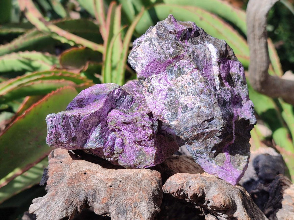 Natural Stichtite Cobbed Specimens x 6 From Barberton, South Africa - Toprock Gemstones and Minerals 