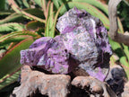 Natural Stichtite Cobbed Specimens x 6 From Barberton, South Africa - Toprock Gemstones and Minerals 