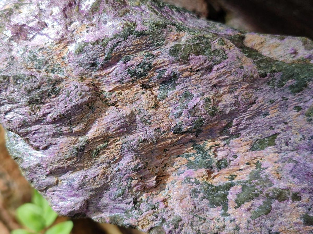 Natural Stichtite Cobbed Specimens x 6 From Barberton, South Africa - Toprock Gemstones and Minerals 