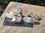 Natural Smokey Window Quartz Crystals x 35 From Brandberg, Namibia - Toprock Gemstones and Minerals 