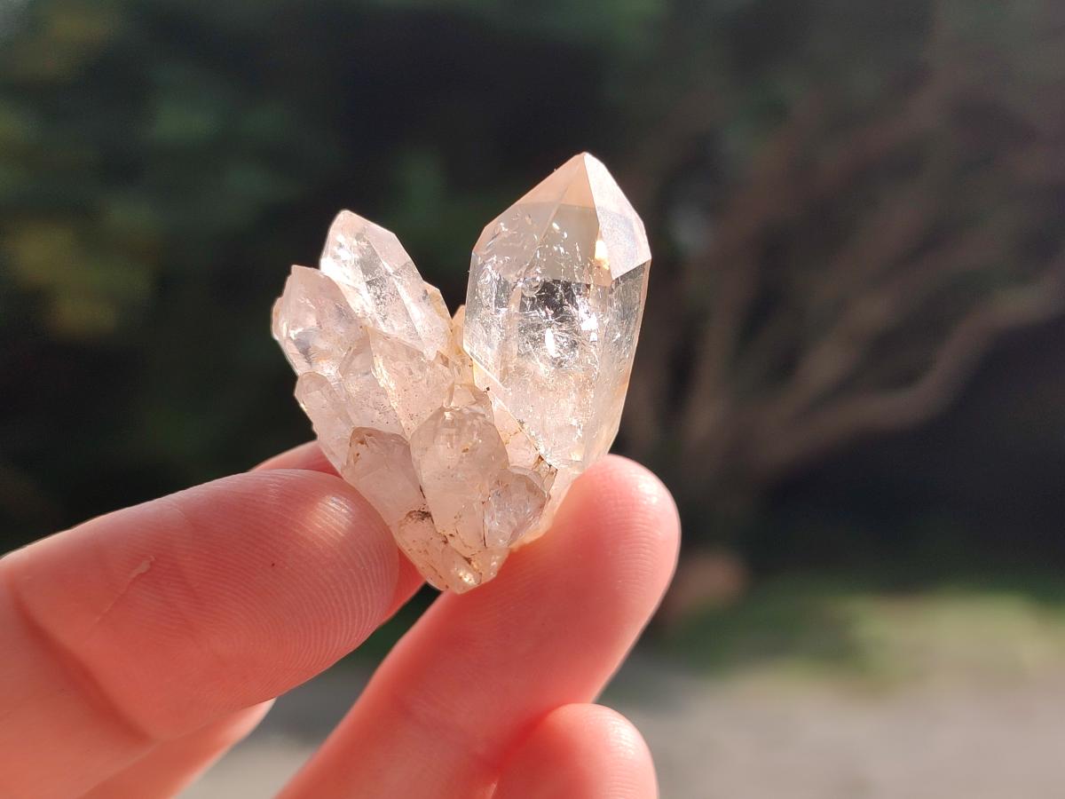 Natural Smokey Window Quartz Crystals x 35 From Brandberg, Namibia - Toprock Gemstones and Minerals 