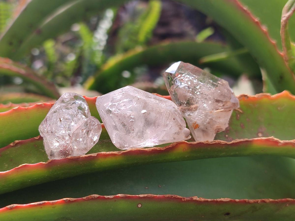 Natural Smokey Window Quartz Crystals x 35 From Brandberg, Namibia - Toprock Gemstones and Minerals 