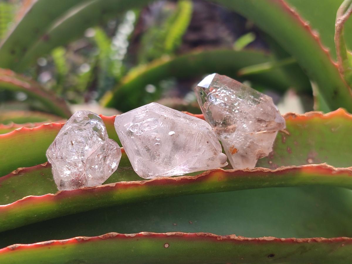 Natural Smokey Window Quartz Crystals x 35 From Brandberg, Namibia - Toprock Gemstones and Minerals 