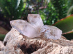 Natural Smokey Window Quartz Crystals x 35 From Brandberg, Namibia - Toprock Gemstones and Minerals 