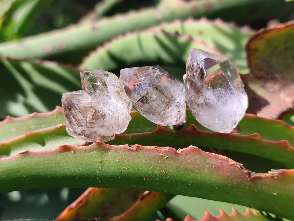 Natural Smokey Window Quartz Crystals x 35 From Brandberg, Namibia - Toprock Gemstones and Minerals 