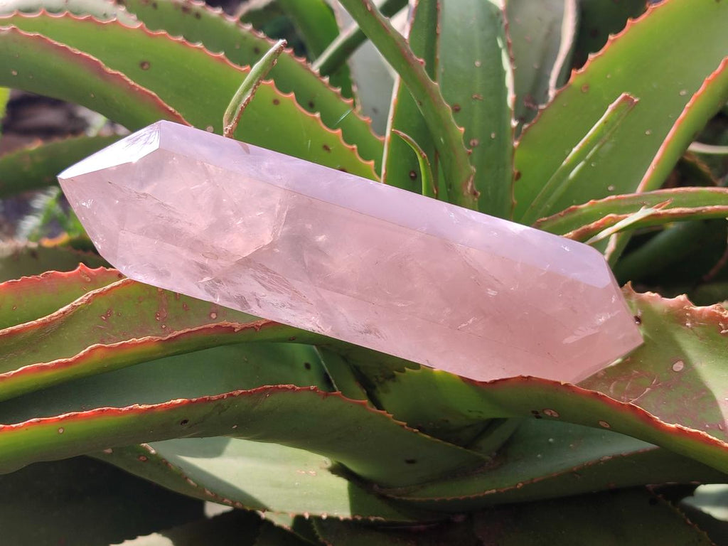 Polished Double Terminated Gemmy Rose Quartz Crystals x 3 From Madagascar - Toprock Gemstones and Minerals 