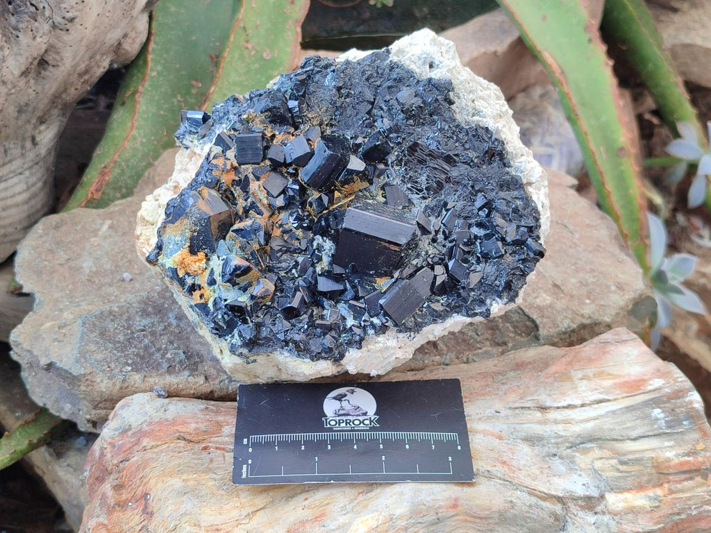 Natural Large Cabinet Schorl Black Tourmaline with Hyalite Opal x 1 From Erongo, Namibia - Toprock Gemstones and Minerals 