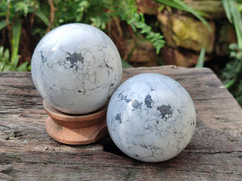 Polished Lightning Strike Howlite Spheres x 4 From Zimbabwe - Toprock Gemstones and Minerals 