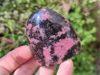 Polished Rhodonite Standing Free Forms x 6 From Ambindavato, Madagascar - Toprock Gemstones and Minerals 