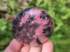 Polished Rhodonite Standing Free Forms x 6 From Ambindavato, Madagascar - Toprock Gemstones and Minerals 