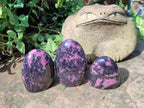 Polished Rhodonite Standing Free Forms x 6 From Ambindavato, Madagascar - Toprock Gemstones and Minerals 