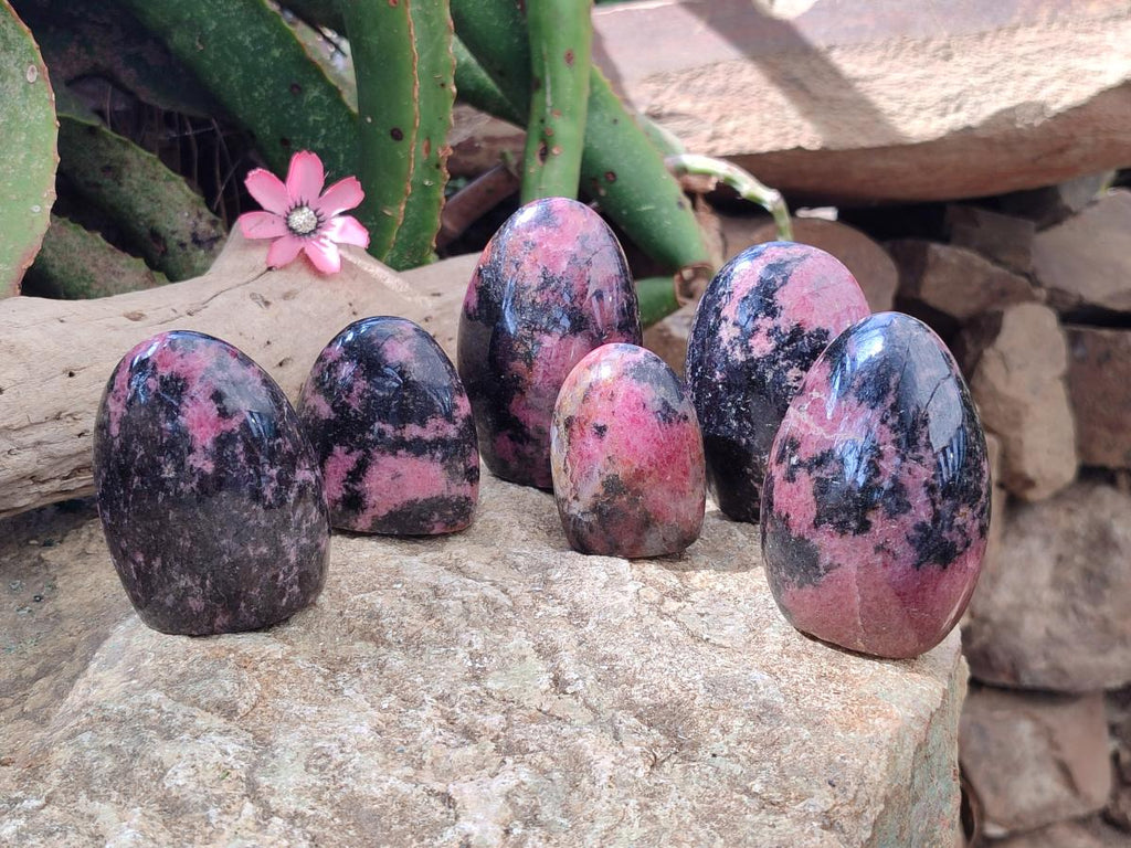 Polished Rhodonite Standing Free Forms x 6 From Ambindavato, Madagascar - Toprock Gemstones and Minerals 