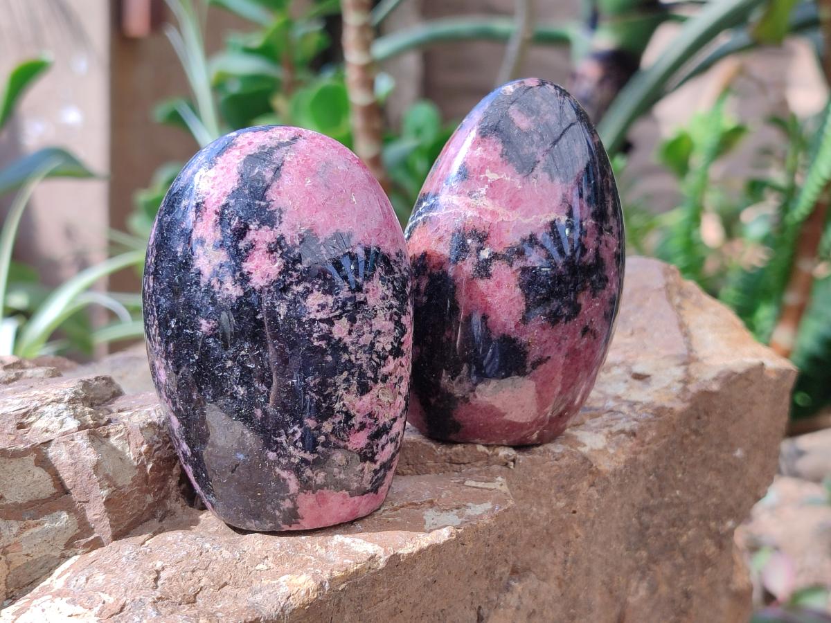 Polished Rhodonite Standing Free Forms x 6 From Ambindavato, Madagascar - Toprock Gemstones and Minerals 