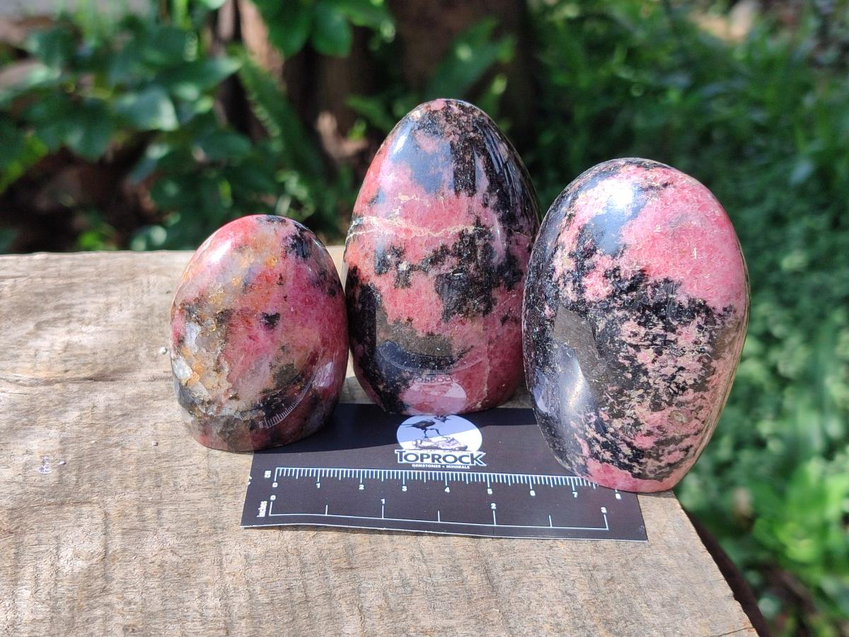 Polished Rhodonite Standing Free Forms x 6 From Ambindavato, Madagascar - Toprock Gemstones and Minerals 
