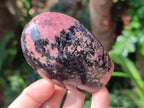Polished Rhodonite Standing Free Forms x 6 From Ambindavato, Madagascar - Toprock Gemstones and Minerals 