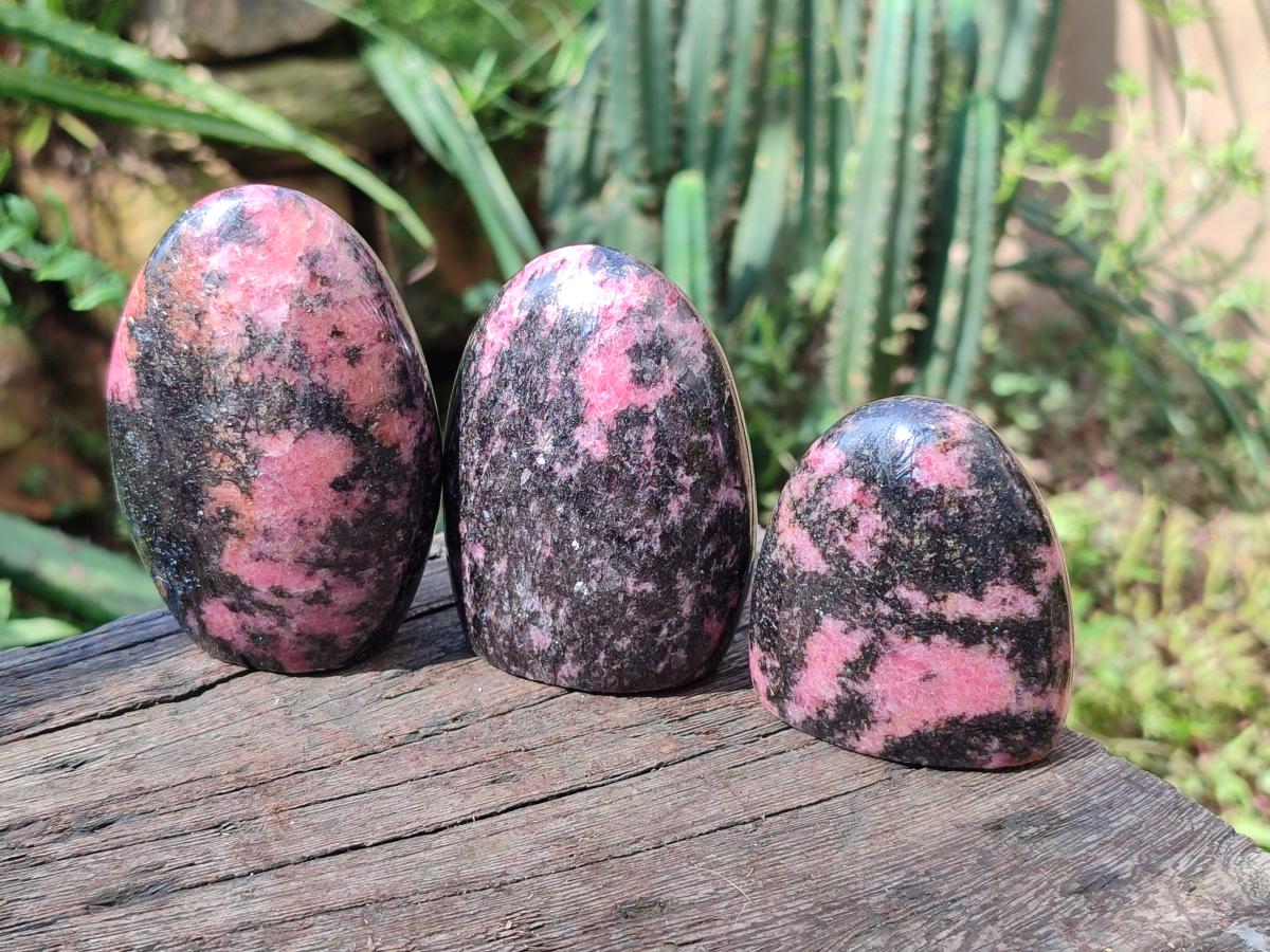 Polished Rhodonite Standing Free Forms x 6 From Ambindavato, Madagascar - Toprock Gemstones and Minerals 