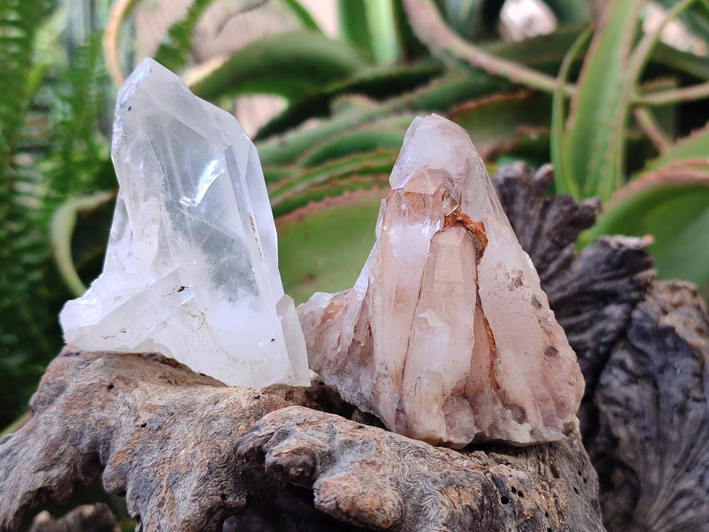 Natural Clear Cascading Quartz Crystal Clusters x 24 From Madagascar - Toprock Gemstones and Minerals 