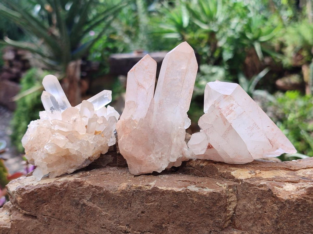 Natural Clear Cascading Quartz Crystal Clusters x 24 From Madagascar - Toprock Gemstones and Minerals 