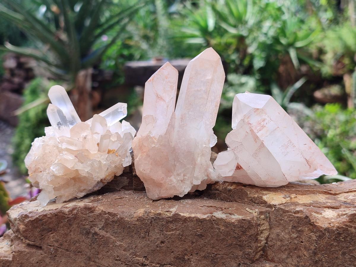 Natural Clear Cascading Quartz Crystal Clusters x 24 From Madagascar - Toprock Gemstones and Minerals 