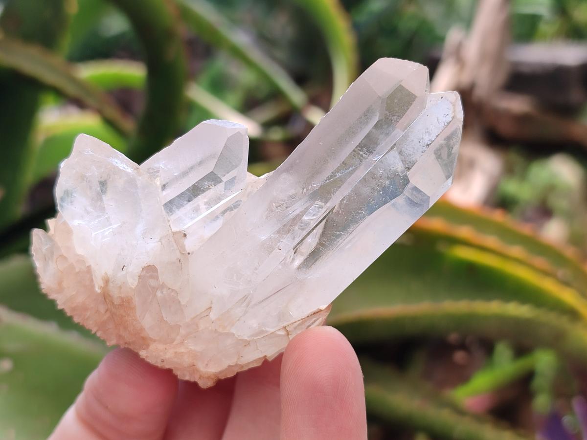 Natural Clear Cascading Quartz Crystal Clusters x 24 From Madagascar - Toprock Gemstones and Minerals 